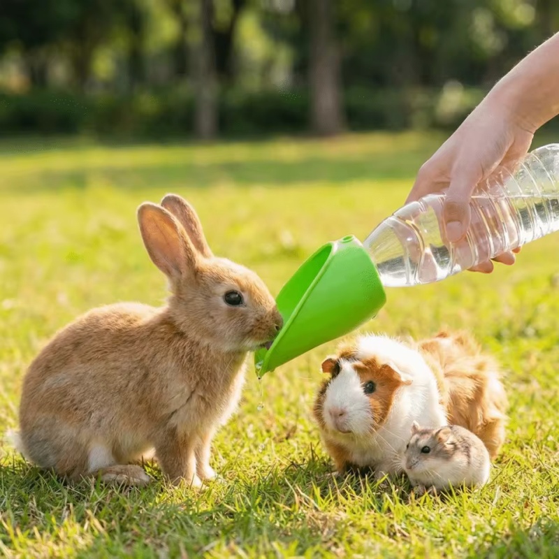 Dog cat Travel Water Bottle  P - مراجعة Water Bag Collapsible وسعره